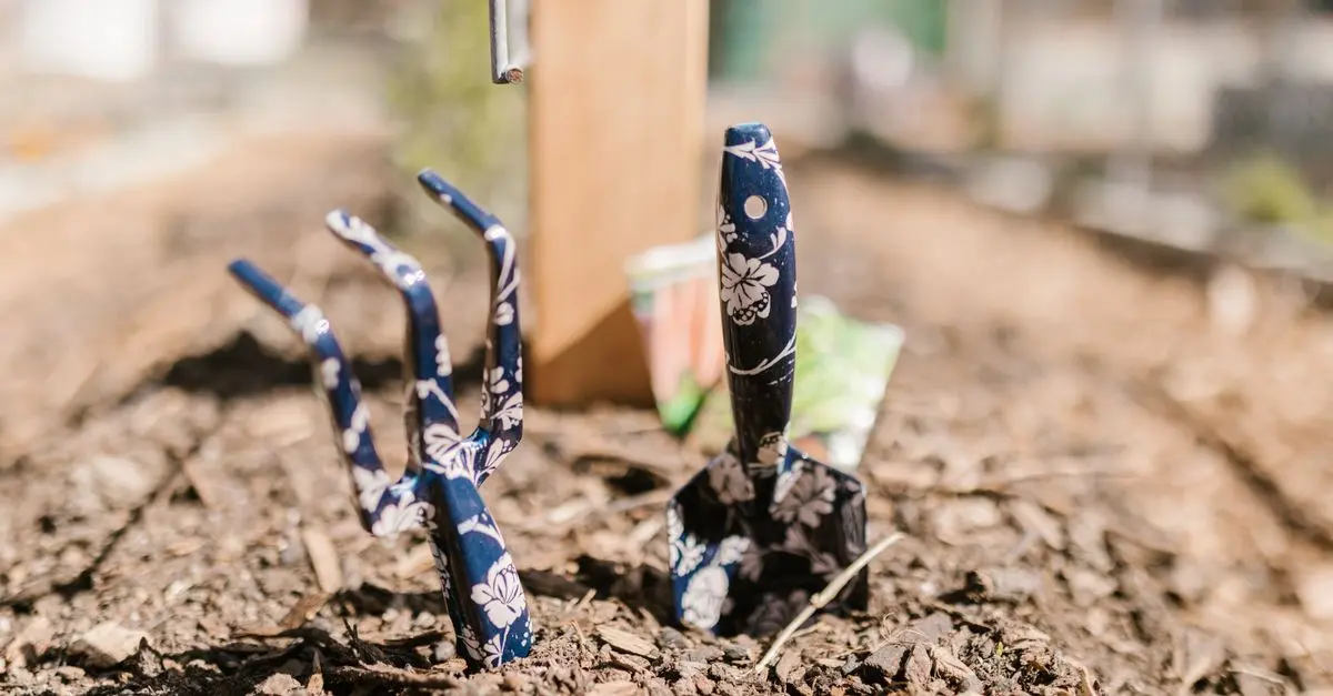 Idées de cadeaux pour les papas qui aiment le jardinage