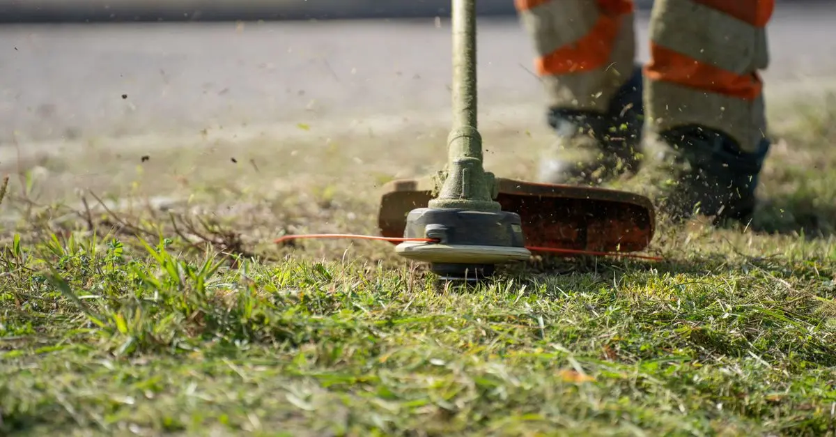 Les meilleurs outils de jardinage pour papa passionné