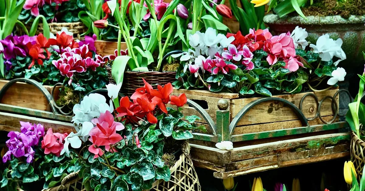 Comment choisir le cadeau parfait pour un papa passionné de jardinage