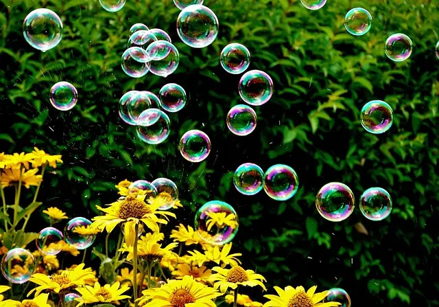 10 idées cadeaux pour un papa passionné de jardinage