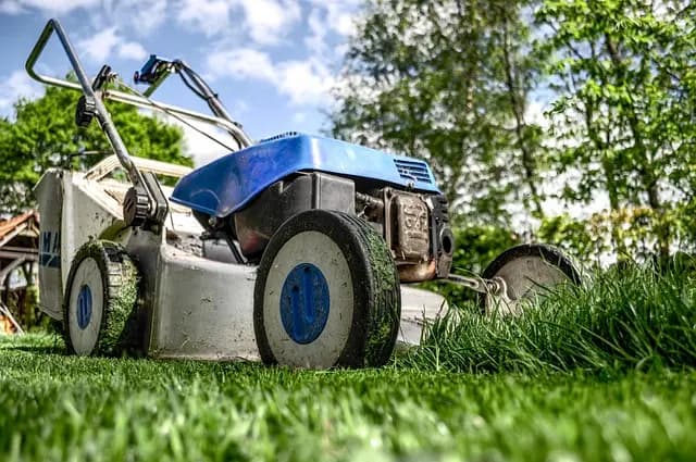 Les meilleures idées de cadeaux pour un papa passionné de jardinage
