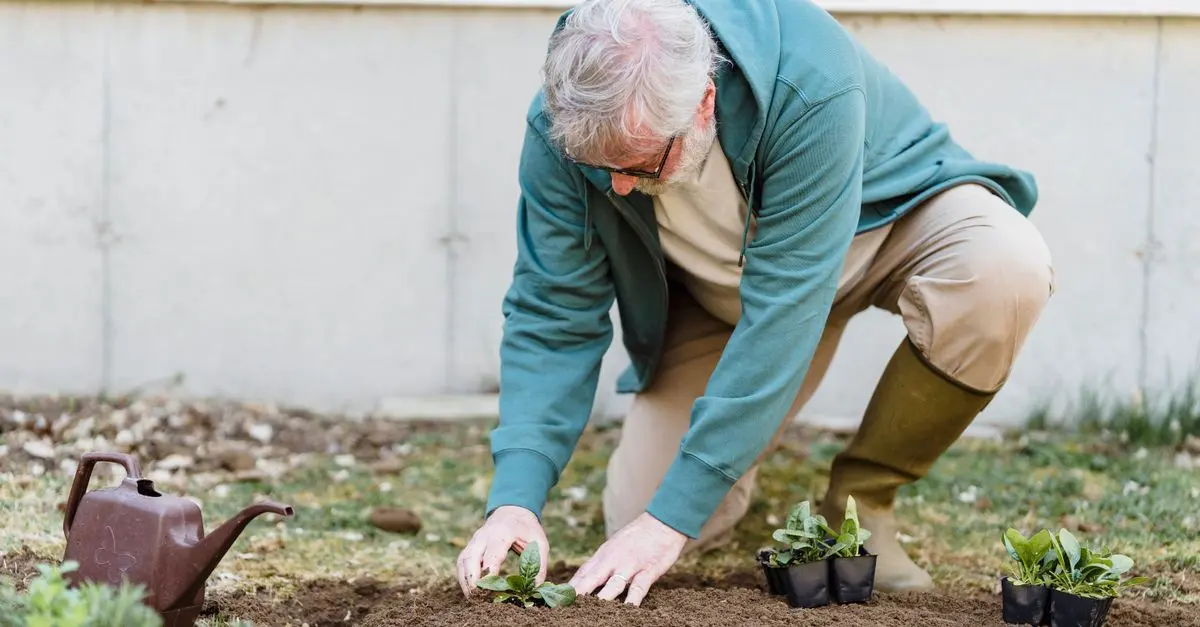 Top 10 des cadeaux à offrir à un papa amateur de jardinage