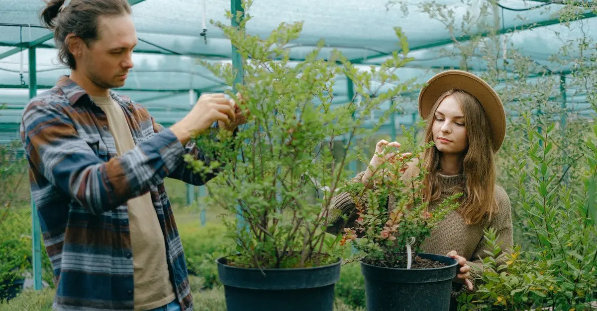 Comment choisir le cadeau parfait pour un papa passionné de jardinage