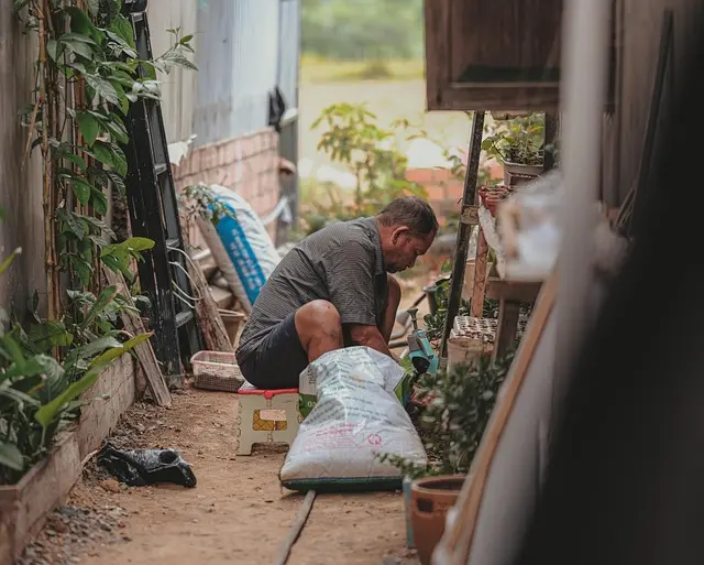 Idées cadeaux pour un papa passionné par le jardinage