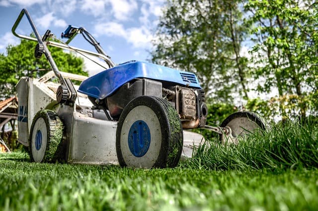 Comment choisir le cadeau idéal pour un papa amateur de jardinage